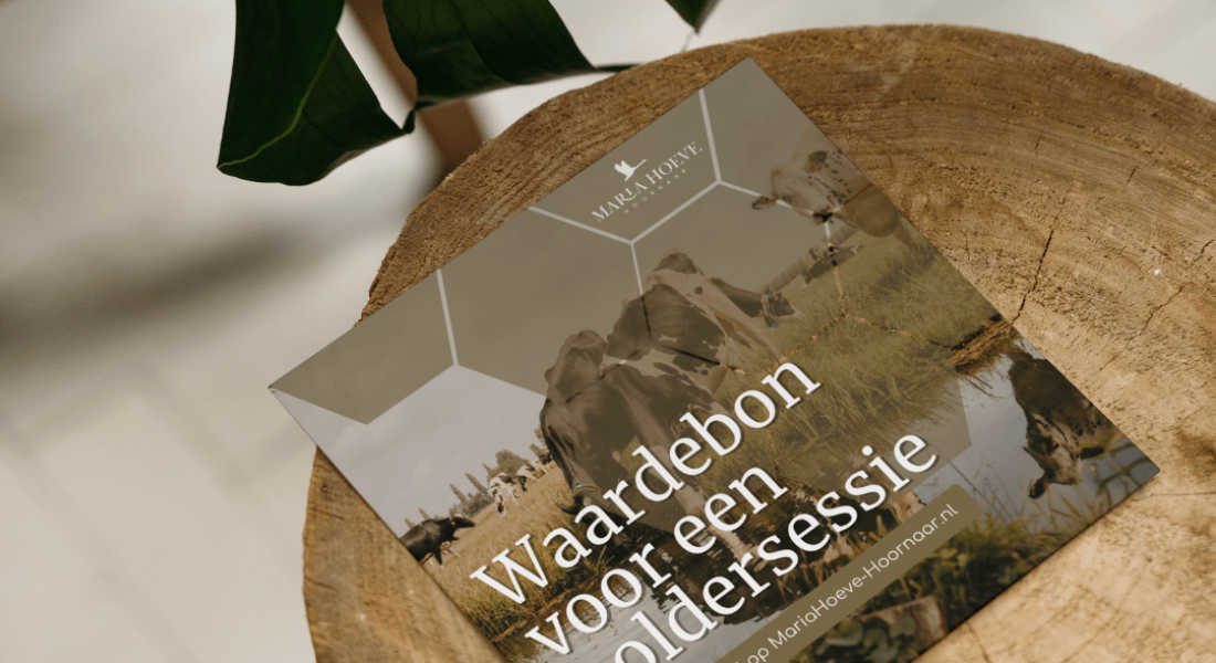 Mockup-Poldersessie